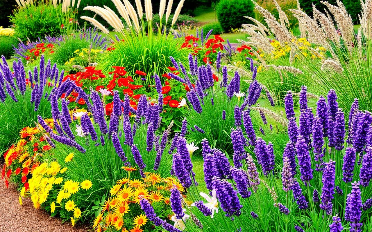 Planting Schemes