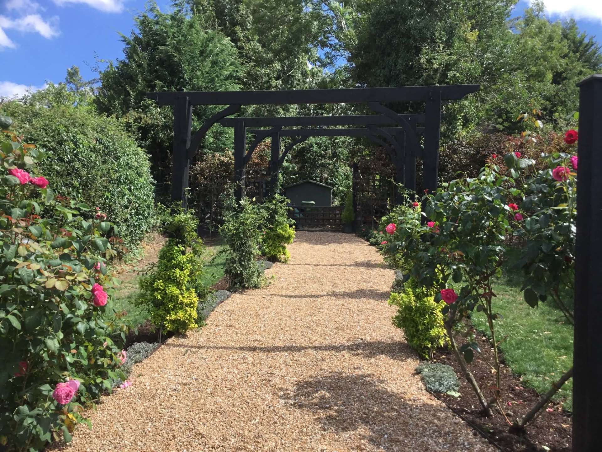 Gravel rose-garden path leading to black timber pergola